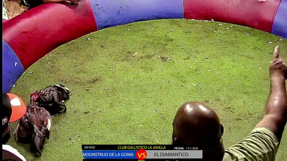 Mi transmisión en vivo